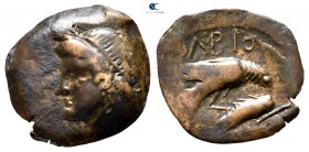 Scythia. Olbia circa 350-300 BC. Bronze Æ