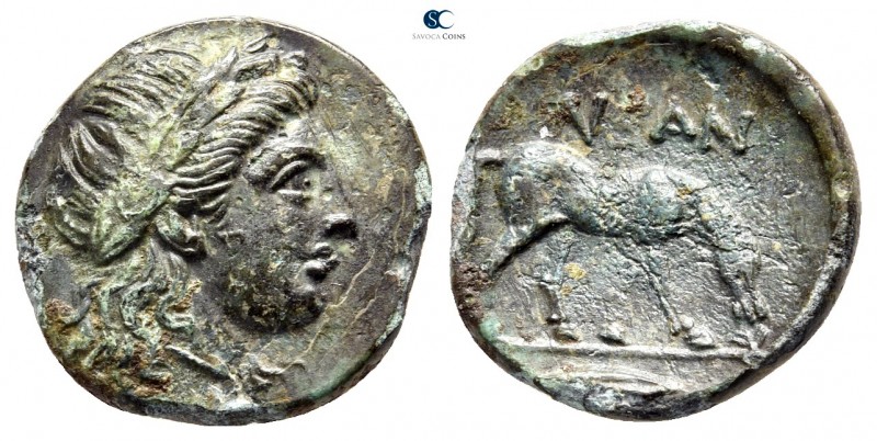 Troas. Neandria circa 350-300 BC. 
Bronze Æ

16mm., 3,03g.



good very f...