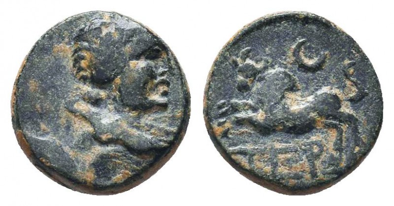 "Greek, Pisidia, c. 100-0 BC, AE , Termessos Major

Obverse: Laureate, and drape...