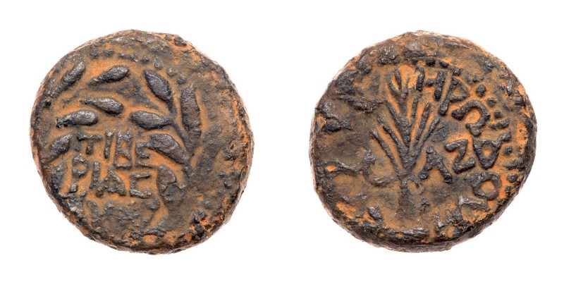 Judaea, Herodian Kingdom. Herod III Antipas. &AElig; Half (5.98 g), 4 BCE-39 CE....