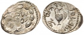 Judaea, Bar Kokhba Revolt. Silver Zuz (2.32 g), 132-135 CE. EF