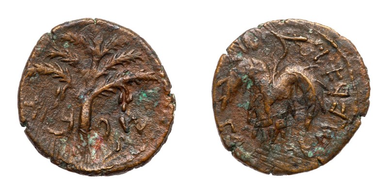Judaea, Bar Kokhba Revolt. &AElig; Medium Bronze (8.46 g), 132-135 CE. Year 2 (1...