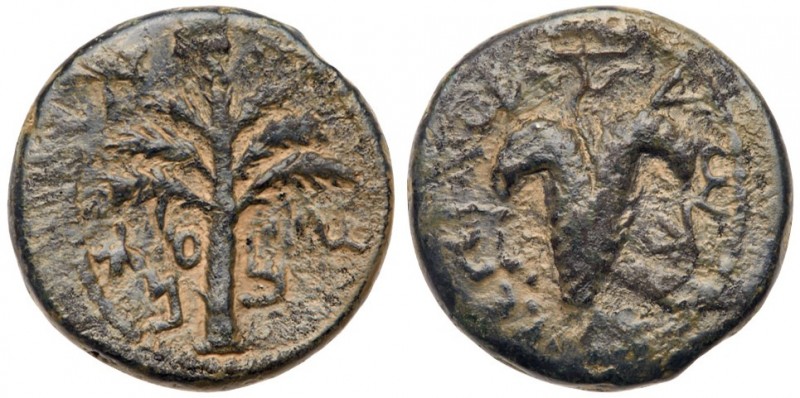 Judaea, Bar Kokhba Revolt. &AElig; Small Bronze (5.90 g), 132-135 CE. Undated, a...