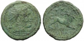 Campania, Capua, Biunx, c. 216-211 BC.; AE (g 11,69; mm 25; h 6); Diademed head of Herakles r., club over shoulder, Rv. Lion walking r., holding spear...