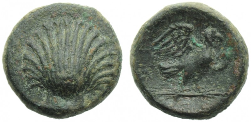 Apulia, Sturni, Bronze, c. 250-210 BC; AE (g 3,06; mm 15; hn 6); Shell, Rv. ΣTY,...