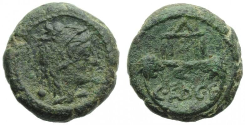 Uncertain Italic mint (Paestum ?), Bronze, 2nd century BC; AR (g 3,03; mm 14; h ...
