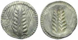 Lucania, Metapontion, Drachm, c. 540-510 BC; AR (g 2,77; mm 18; h 12); MET, barley ear, Rv. Same type incuse. HNItaly 1460; Noe 33. Cabinet tone, abou...