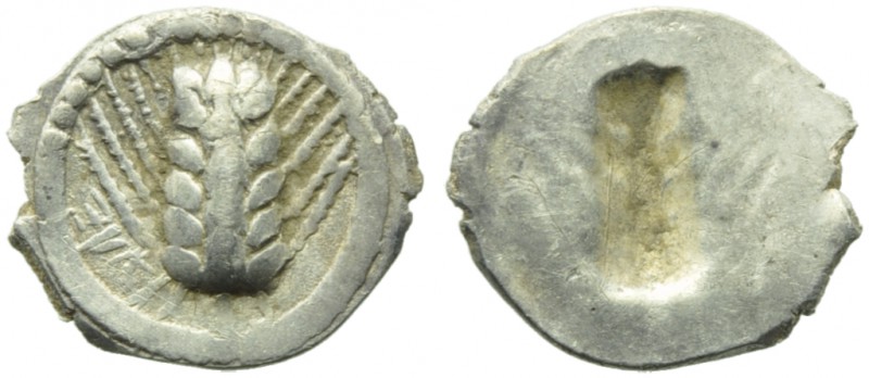 Lucania, Metapontion, Obol, c. 540-510 BC; AR (g 0,31; mm 11; 12); MET, barley e...