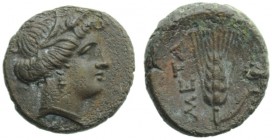 Lucania, Metapontion, Bronze, c. 300-250 BC; AE (g 2,52; mm 15; h 3); Head of Demeter r., wearing barley wreath, earrings and necklace, Rv. META, barl...