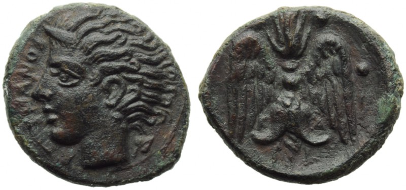 Sicily, Katane, Tetras, c. 405-402 BC; AE (g 1,80; mm 14; h 11); ΑΜΕΝΑΝΟΣ, horne...