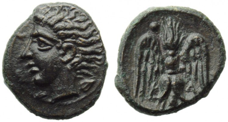Sicily, Katane, Onkia, c. 405-402 BC; AE (g 0,83; mm 10; h 5); AME[...], horned ...