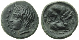 Sicily, Piakos, Hemilitron, c. 425-400 BC; AE (g 4,39; mm 18; h 12); Π - I - A - K - I - N, laureate head of river-god; on l., six pellets, Rv. Hound ...