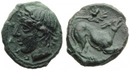 Sicily, Piakos, Onkia, c. 425-420 BC; AE (g 0,96; mm 10; h 5); PIAK, laureate head of river-god l.; on l., pellets, Rv. Dog standing r.; above., two o...