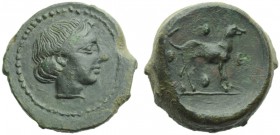 Sicily, Segesta, Trias, c. 420 BC; AE (g 9,86; mm 19; h 12); Head of Egeste r., wearing hair-band, Rv. Hound standing r.; around, four pellets. CNS I,...