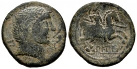 Bilbilis. As. 120-30 a.C. Calatayud (Zaragoza). (Abh-258 variante). (Acip-1573). (C-11). Anv.: Cabeza masculina a derecha con singular peinado, delant...