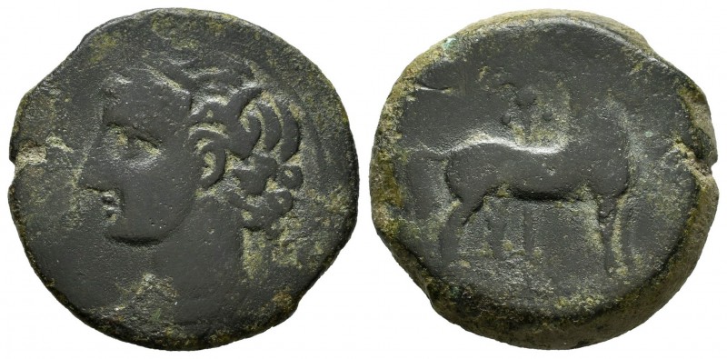 Cartagonova. Calco. 220-245 a.C. Cartagena (Murcia). (Abh-505). (Acip-589). (C-4...