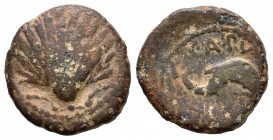 Arse-Saguntum. Cuadrante. 170-20 a.C. Sagunto (Valencia). (Abh-2058). Anv.: Concha. Rev.: Delfín a derecha, encima CAPV, debajo tres puntos y ARSE. Ae...