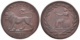 Gran Bretaña. George III. 1/2 penny. 1814. (Withers-610/2/5). Anv.: HALF PENNY. León pasante a izquierda. Rev.: Britania sosteniendo palma, apoyada so...