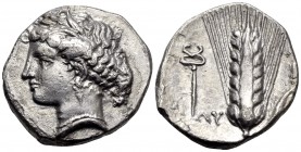 LUCANIA. Metapontum. Circa 340-330 BC. Didrachm or nomos (Silver, 21.5 mm, 7.70 g, 9 h). Head of Demeter to left, wearing a barley wreath, a pendant e...