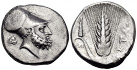 LUCANIA. Metapontum. Circa 340-330 BC. Nomos or Didrachm (Silver, 20 mm, 7.83 g, 9 h), struck under the magistrates Pa... and Ami.... Head of Leukippo...