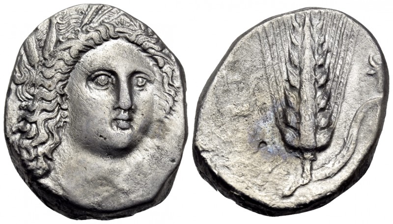 LUCANIA. Metapontum. Circa 330-290 BC. Didrachm or nomos (Silver, 19.5 mm, 7.81 ...