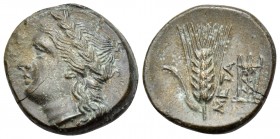 LUCANIA. Metapontum. Circa 300-250 BC. Chalkous (Bronze, 15.5 mm, 2.75 g, 12 h). Laureate head of Apollo to left. Rev. ΜΕΤΑ Grain ear with leaf to lef...
