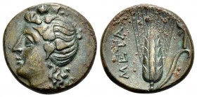 LUCANIA. Metapontum. Circa 300-250 BC. Chalkous (Bronze, 15 mm, 2.87 g, 10 h). Ivy-wreathed head of Dionysos to left. Rev. META Ear of barley with lea...