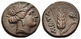 LUCANIA. Metapontum. Circa 300-250 BC. Chalkous (Bronze, 13.5 mm, 2.67 g, 1 h). Head of Demeter to right, wearing wreath of barley ears and triple-pen...