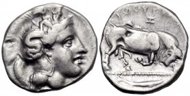 LUCANIA. Thourioi. Circa 350-300 BC. Stater (Silver, 21 mm, 7.70 g, 9 h). Head of Athena to right, wearing helmet adorned with Skylla. Rev. ΘΟΥΡΙΩΝ/Z ...