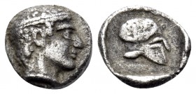 MACEDON. Skione. Circa 470-454/3 BC. Hemiobol (Silver, 6.5 mm, 0.25 g, 7 h). Head of the youthful Protesilaos to right, wearing taenia. Rev. Corinthia...