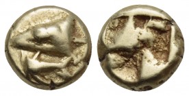 MYSIA. Kyzikos. Circa 600-550 BC. Hemihekte or 1/12 Stater (Electrum, 7 mm, 1.34 g). Head of a tunny fish to left; below, hint part of a tunny to left...