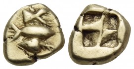 MYSIA. Kyzikos. Circa 600-550 BC. Hemihekte or 1/12 Stater (Electrum, 9 mm, 1.34 g). Tunny fish swimming to right; above, tail of a tunny fish to left...