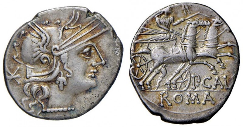 Calpurnia - P. Calpurnius - Denario (133 a.C.) Testa di Roma a d. - R/ I Dioscur...