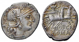 Calpurnia - P. Calpurnius - Denario (133 a.C.) Testa di Roma a d. - R/ I Dioscuri a cavallo a d. - B. 2; Cr. 247/1 AG (g 3,84)
SPL