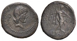Calpurnia - L. Calpurnius Piso Frugi - Quinario (90 a.C.) Testa di Apollo a d. - R/ La Vittoria stante a d. - B. 13; Cr. 340/2 AG (g 2,09)
qBB