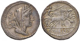 Fabia - C. Fabius C. f. Hadrianus - Denario (102 a.C.) Testa velata di Cibele a d. - R/ La Vittoria su biga a d. - B. 14; Cr. 322/1b AG (g 3,88)
SPL