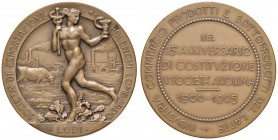 LODI Medaglia 1925 25° anniversario Società di esportazione polenghi lombardo - AE (g 34,44 - Ø 45 mm)
FDC
