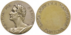 MANTOVA Medaglia Banca Agricola Mantovana - Opus: S. Johnson - AG (g 34,88 - Ø 44 mm)
FDC