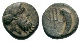KINGS OF GALATIA. Amyntas (39-25 BC). Ae.
Condition: Very Fine

Weight: 1,23 gr
Diameter: 10,40 mm