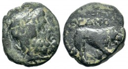 Greek Countermark coins Ae Seleukids,
Condition: Very Fine

Weight: 6,15 gr
Diameter: 19,80 mm