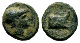 KINGS OF MACEDON. Demetrios I Poliorketes, 306-283 BC. AE 
Condition: Very Fine

Weight: 1,78 gr
Diameter: 12,00 mm
