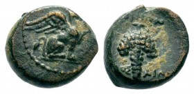 Greek Coins , Ae 100 BC.
Condition: Very Fine

Weight: 2,37 gr
Diameter: 11,30 mm