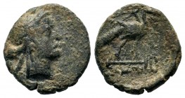 Greek Coins , Ae 100 BC.
Condition: Very Fine

Weight: 3,45 gr
Diameter: 18,30 mm