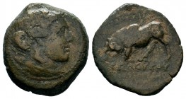 SELEUKIS & PIERIA. Seleukeia Pieria. Ae (1st century BC).
Condition: Very Fine

Weight: 6,70 gr
Diameter: 22,00 mm