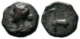 KINGS OF CAPPADOCIA. Ariarathes X Eusebes Philadelphos (42-36 BC). Ae.
Condition: Very Fine

Weight: 3,82 gr
Diameter: 14,90 mm