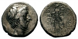 Kings of Cappadocia. Ariobarzanes I Philoromaios (96-63 BC). AR Drachm 
Condition: Very Fine

Weight: 3,65 gr
Diameter: 16,45 mm