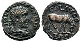 Gallienus (253-268 AD). AE, Alexandria Troas.
Condition: Very Fine

Weight: 4,50 gr
Diameter: 19,80 mm