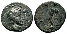 PAMPHYLIA. Side. Hadrian (117-138). Ae. 
Condition: Very Fine

Weight: 4,72 gr
Diameter: 18,60 mm