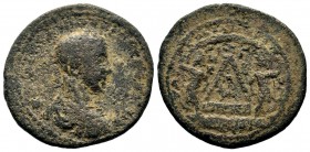 Traianus Decius (249-251) for Herennius Etruscus Caesar. AE
Condition: Very Fine

Weight: 10,04 gr
Diameter: 27,50 mm