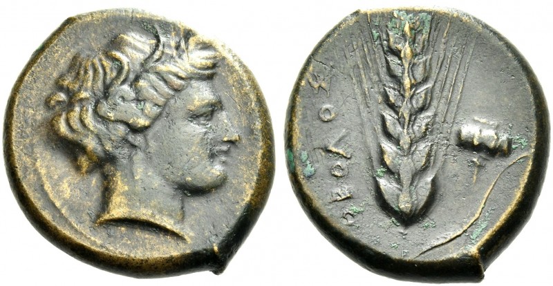 Lucania, Metapontum.
Obol circa 425-350, Æ 20 mm, 7.60 g. Wreathed head of Deme...